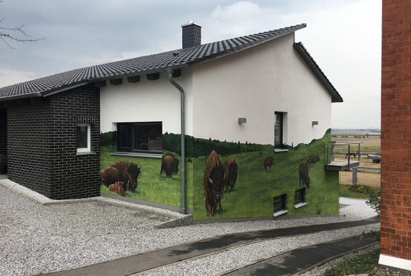 Graffiti Fassade