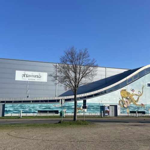 wandbild phaenomania buesum