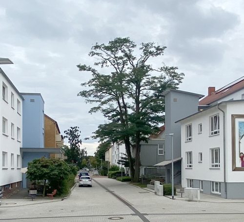 graffitiworkshop lebenshilfe