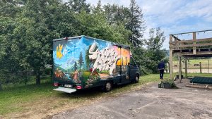 graffiti auf dhl autos