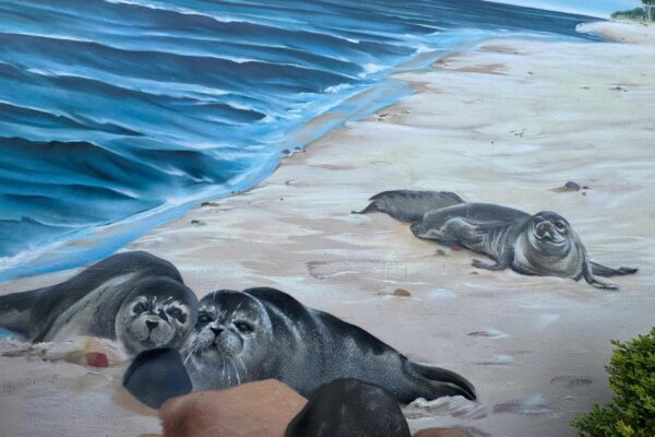 graffiti nordsee