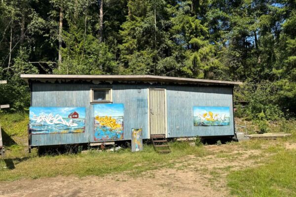 graffiti-künstler-Schweden15